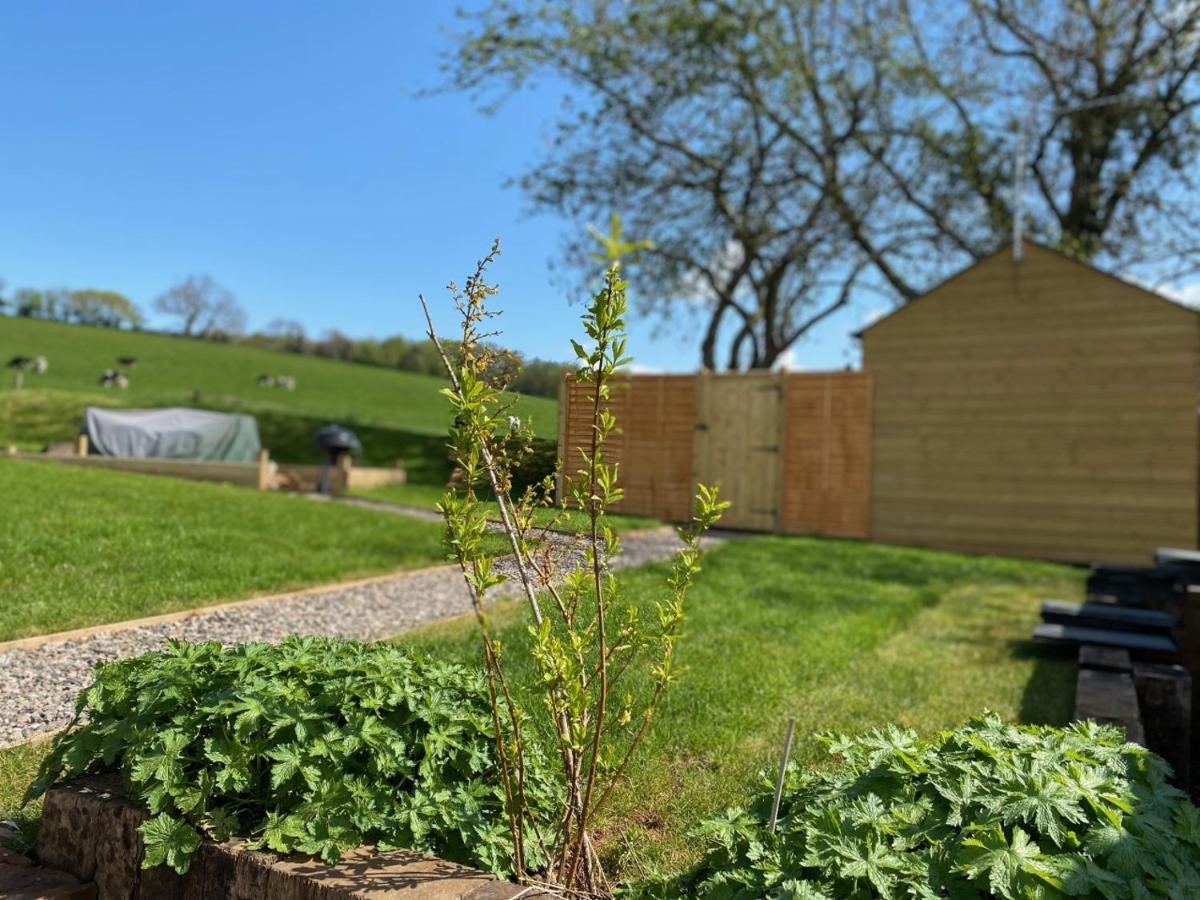 Appartamento Hideaway At Hestercombe Kingston  Esterno foto